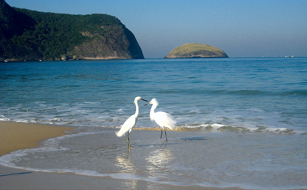 Clubes - Quero Morar em Niterói - O melhor site de informações sobre a  cidade de Niterói