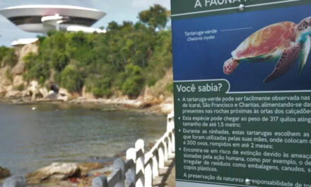 Praias de Niterói ganham placas sobre preservação da fauna marinha