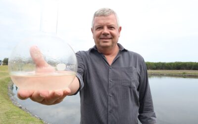 Parque Orla Piratininga: primeiro sistema de jardins filtrantes já está em funcionamento