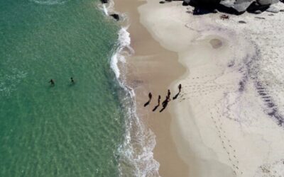 Pela segunda vez, Praia do Sossego em Niterói recebe o selo Bandeira Azul