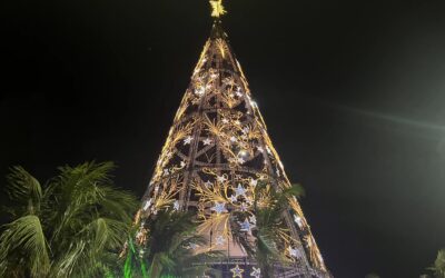 Prefeitura de Niterói inaugura Árvore de Natal em São Francisco