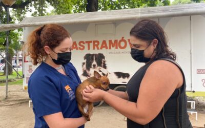 Inscrições para castração gratuita de cães e gatos começam neste sábado