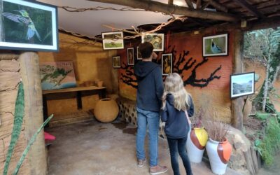 Ecoarte no Caminho Darwin: unindo arte, ecologia e sustentabilidade em Niterói
