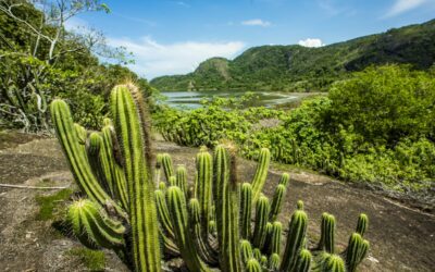 Niterói se junta ao Um Dia No Parque com Rota Charles Darwin