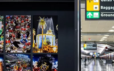 Unidos do Viradouro brilha em exposição fotográfica nos EUA