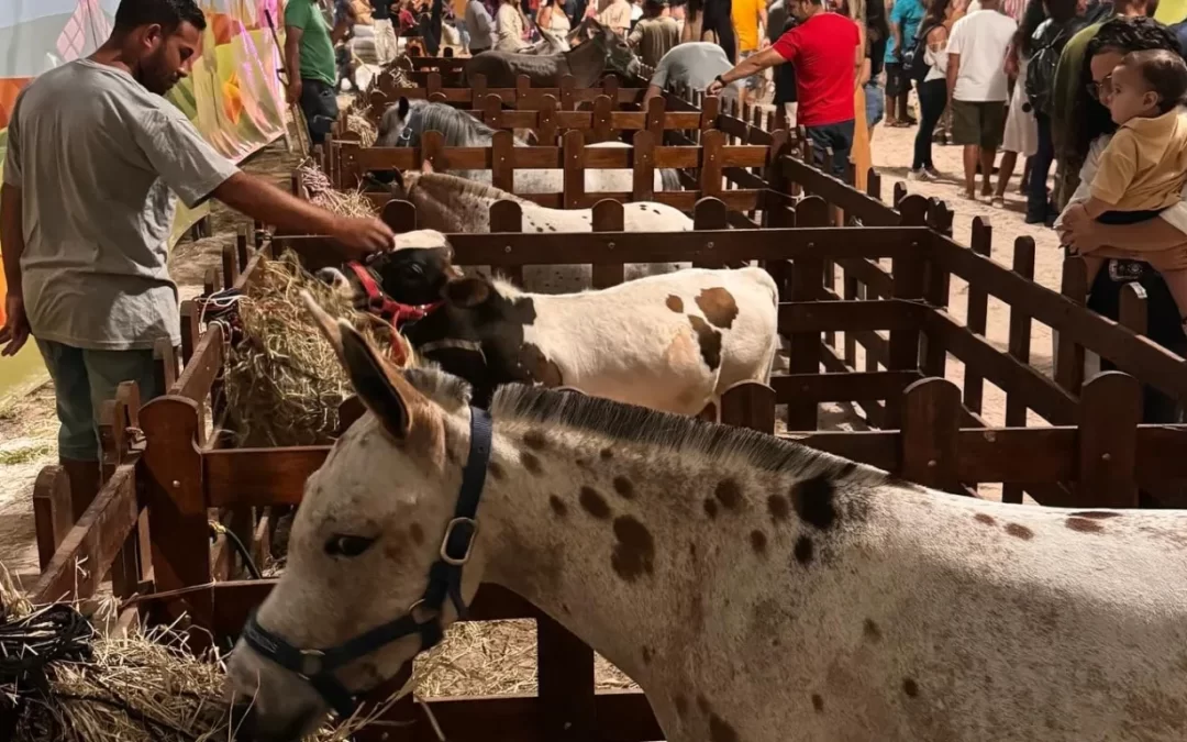 Dia do Meio Ambiente terá evento no Parque Rural de Niterói