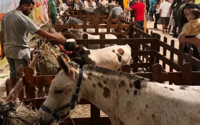 Dia do Meio Ambiente terá evento no Parque Rural de Niterói