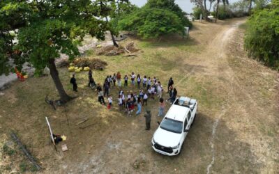 Recuperação ambiental no Morro do Morcego é iniciada